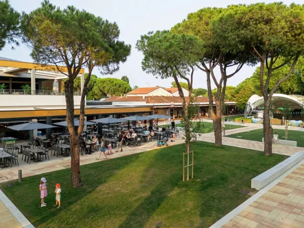 Il nuovo ristorante del campeggio Roan Pra'delle Torri.