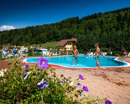 Panoramica della piscina del campeggio Roan Bella Austria.