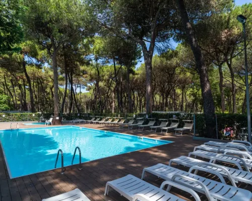 Piscina con lettini al sole e all'ombra tra i pini del Roan camping Sole Family Village.
