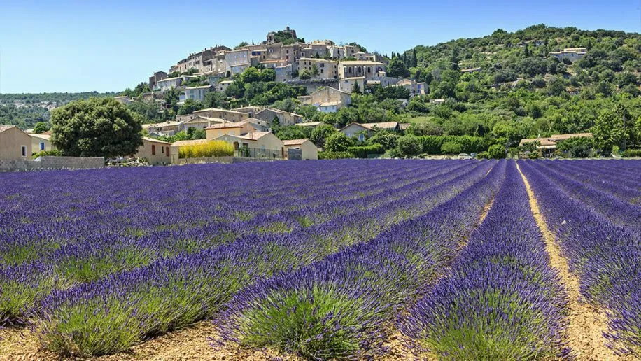 Campi di lavanda vicino al campeggio Roan nella Drôme.