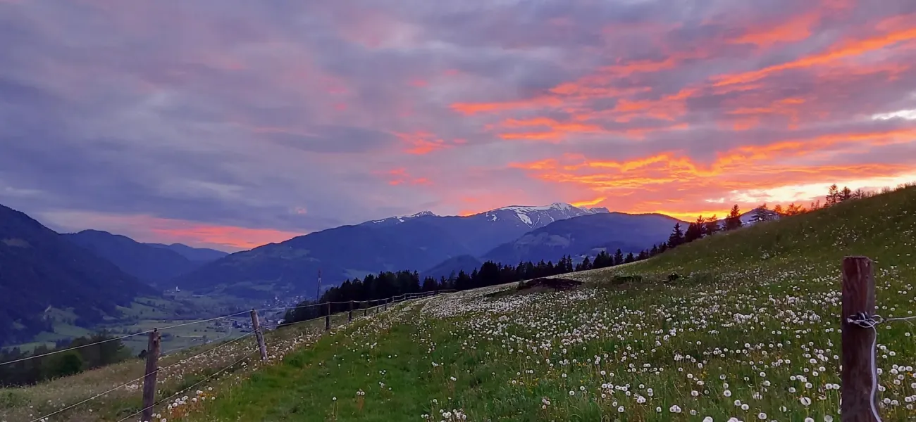 Natale all'ultimo minuto
