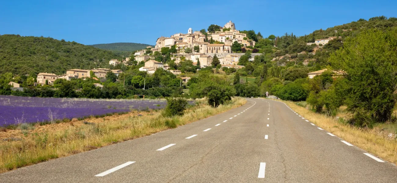 Ambiente naturale in Provenza.