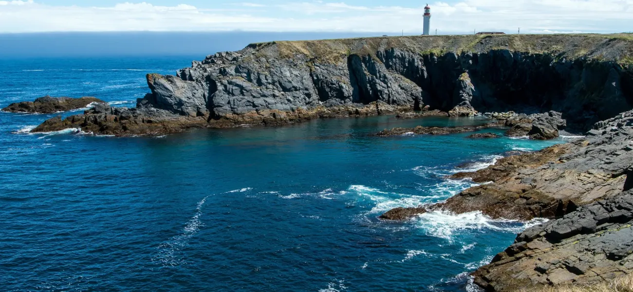 Costa atlantica.