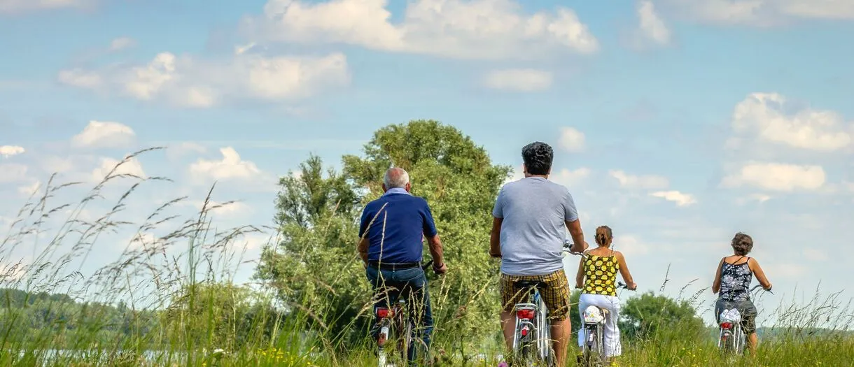 Sei un appassionato di ciclismo?