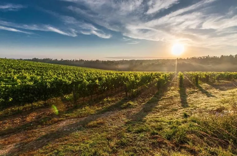 In vacanza nella bellissima Toscana