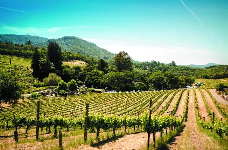 La bellezza naturale del sud della Francia