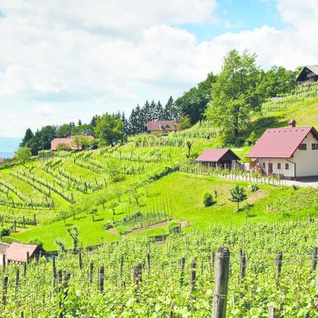 Prenota una vacanza last minute in Slovenia