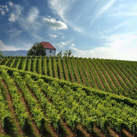 Le nostre regioni in Slovenia