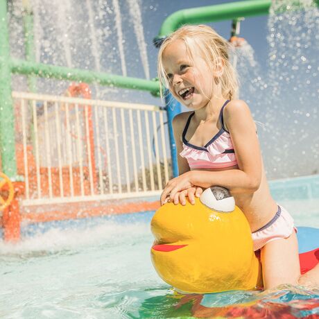 Sempre più campeggi nei Paesi Bassi!