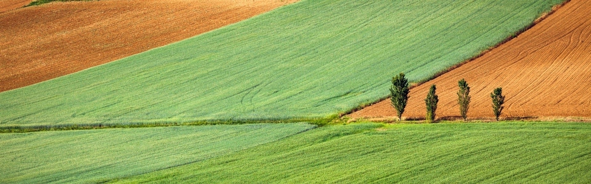 Campeggi piccoli in Italia
