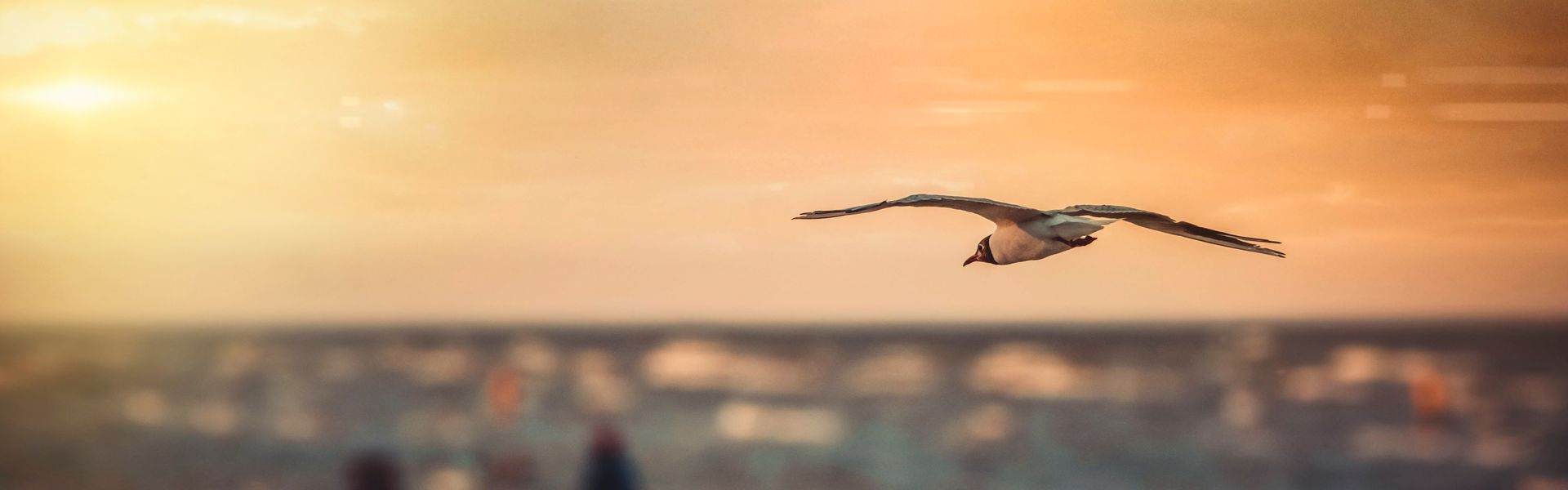 Last minute Campeggio Costa Adriatica