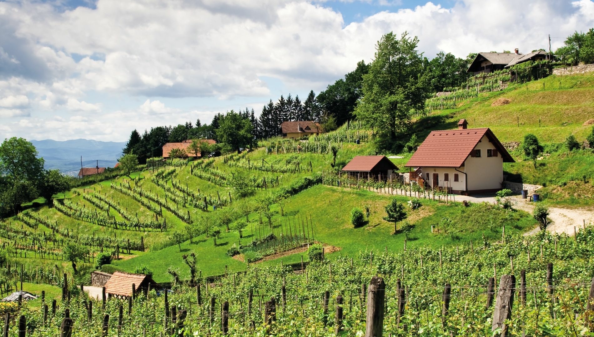 Campeggio Slovenia Sud